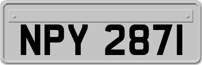 NPY2871