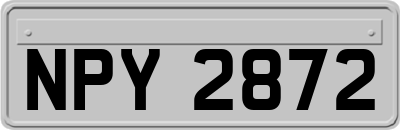 NPY2872