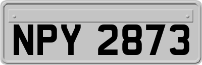 NPY2873