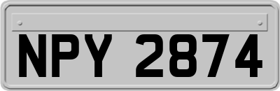 NPY2874