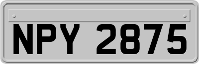 NPY2875