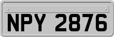 NPY2876