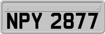 NPY2877