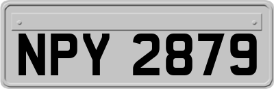 NPY2879