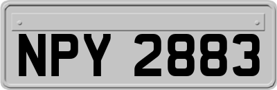 NPY2883