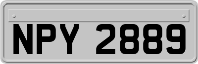 NPY2889