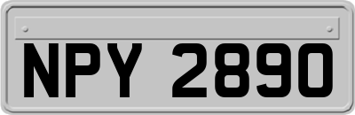 NPY2890
