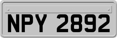 NPY2892