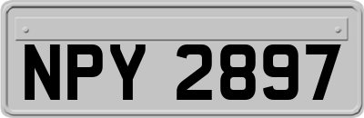 NPY2897