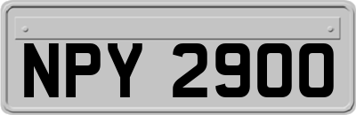 NPY2900