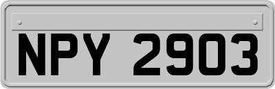 NPY2903