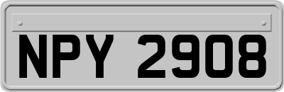 NPY2908