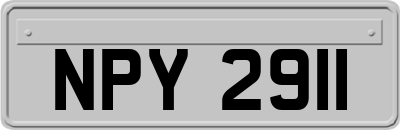 NPY2911