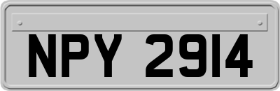 NPY2914