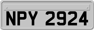 NPY2924