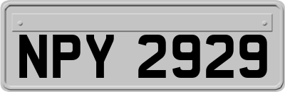 NPY2929