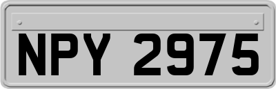 NPY2975