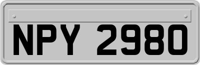 NPY2980