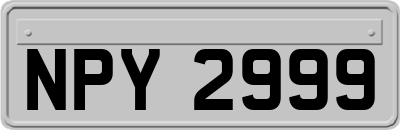 NPY2999
