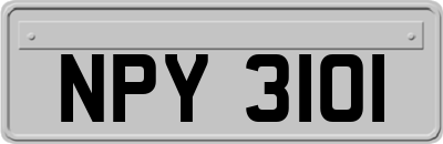 NPY3101