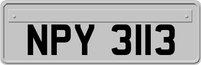 NPY3113
