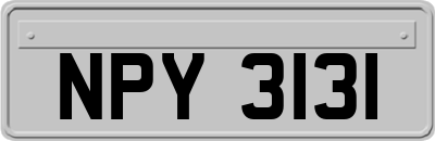 NPY3131