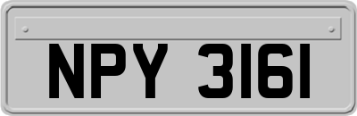 NPY3161