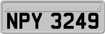 NPY3249