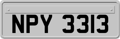 NPY3313
