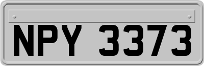 NPY3373