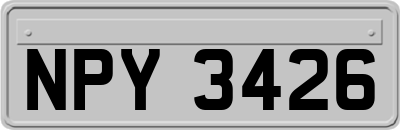 NPY3426