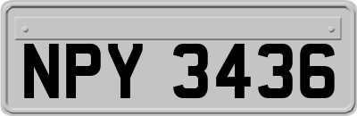 NPY3436