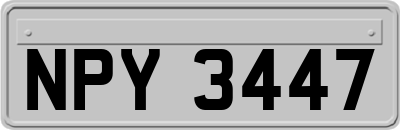 NPY3447