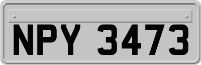 NPY3473