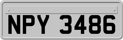 NPY3486