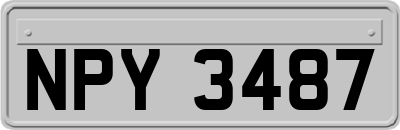 NPY3487