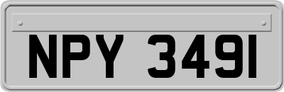 NPY3491