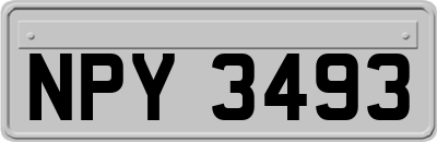 NPY3493