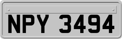 NPY3494