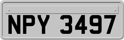 NPY3497