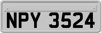 NPY3524