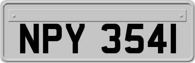 NPY3541