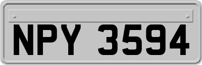 NPY3594