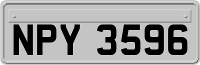 NPY3596