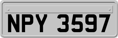 NPY3597