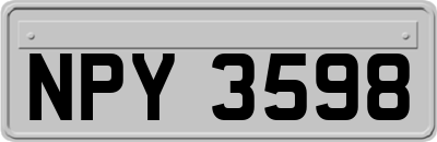 NPY3598