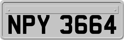 NPY3664