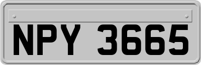 NPY3665