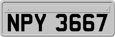 NPY3667
