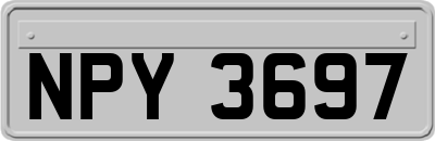 NPY3697